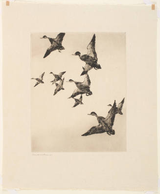 Untitled (Nine Mallards in Flight)