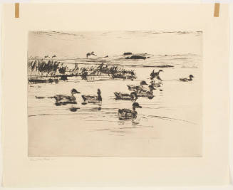 Untitled (Group of Ducks in Marsh with Three Flying)