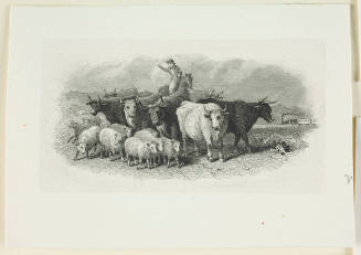 Herding the Cattle and Sheep