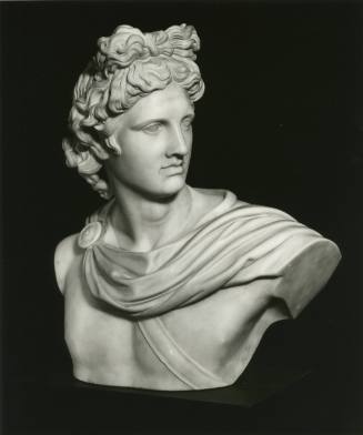 Head of Apollo Belvedere