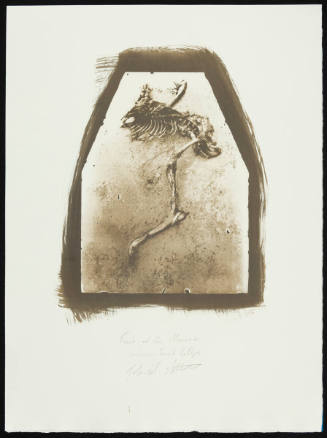Selenium-toned Kallitype Proof of "Feast of the Maenads"