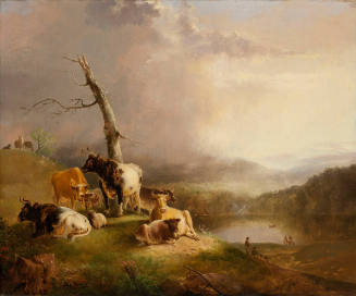 Cattle by a Mountain Tarn