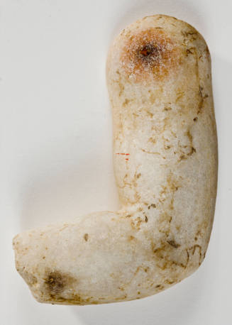 Fragment, Portion of a Forearm