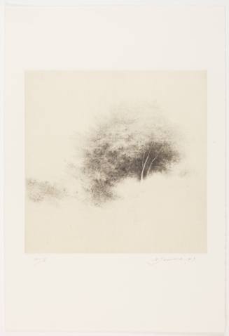 Image of a Tree V