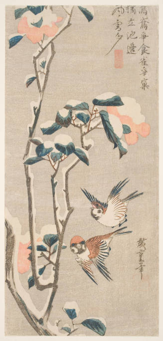 Snow-Laden Camellias and Tree Sparrows