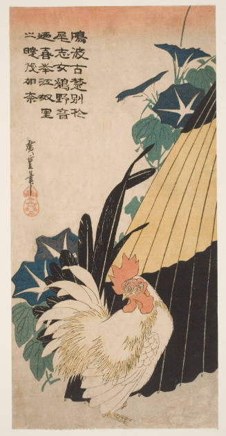 Rooster near Umbrella and Morning Glories