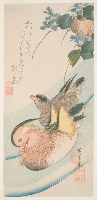 Mandarin Ducks (Oshidori)