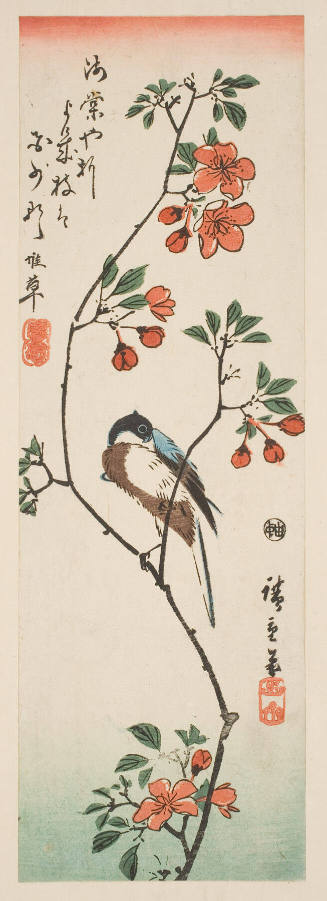 Quince Blossoms and Unidentified Bird