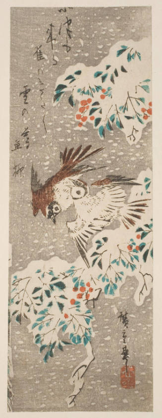 Nantina and Russet Sparrows in Falling Snow