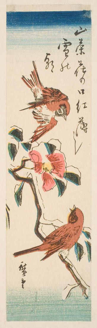 Two Russet Sparrows and a Camellia Branch with One Flower