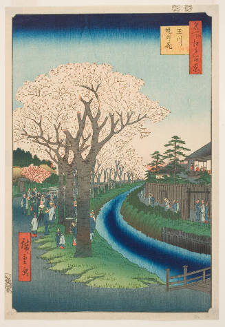 Blossoms on the Tama River Embankment (Tamagawa zutsumi no hana)