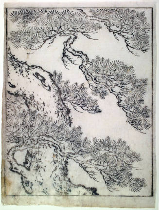 A Pine Tree-frontispiece illustration from volume I (sheet 3) of the book Ehon Tokiwa-gusa (Picture Book of Evergreens)