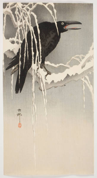 Crow Perched on a Snow-covered Branch